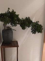 -奥本瑜伽·普拉提