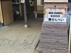 -奈良公园