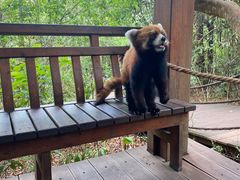 -普洱太阳河森林公园