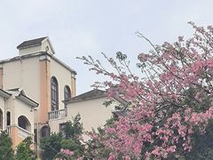 -风云岭森林公园