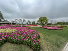 -上海植物园-4号门售票处