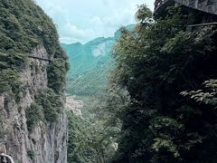 -鹿院坪生态旅游景区