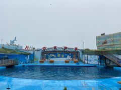 -海合安青岛极地海洋公园