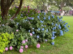 -常州古运河南大街文化旅游区-人民公园