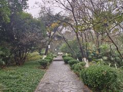 -太子山公园(园东路)