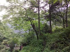 -西岭雪山大飞水景区
