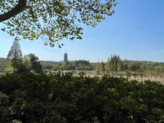 -宜兴龙背山森林公园