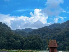 -广州市石门国家森林公园