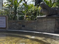 -碧水湾温泉