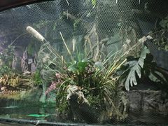 -太平洋海底世界