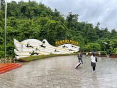 -西双版纳原始森林公园
