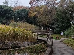 -成都市活水公园