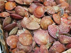 -聚盛源蒸汽海鲜火锅烤肉自助(巨川金海岸购物广场店)