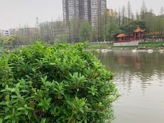 -沙市市中山公园