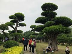 -南宁南湖公园