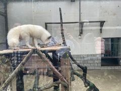 -柳州市动物园