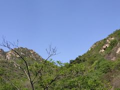 -大岭沟猕猴桃谷风景区