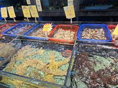 -新金盛·海鲜酒楼(盐田店)