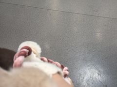-半岛宠物医院24小时(科华中路店)