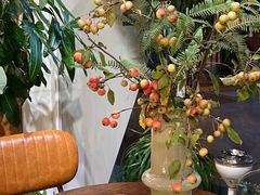 -蝶舍·MAISON PAPILLON