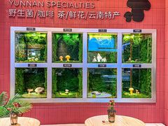 -芸山季·云南野生菌火锅(宝能环球汇店)