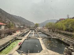 -天源渔港农庄