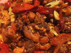 -柴窝堡22号辣子鸡·传承新疆菜