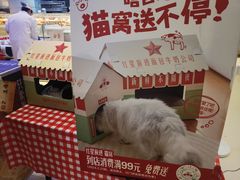 -红星前进面包牛奶公司(君太店)