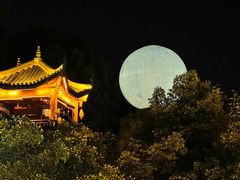 -巴倒烫陆派火锅山庄(南山总店)