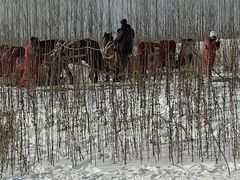 -亚布力新体委滑雪场