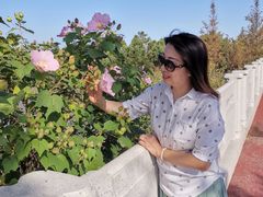 -柳鹭田园区