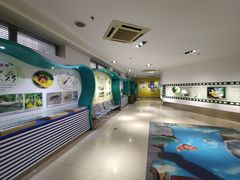 -上海昆虫博物馆