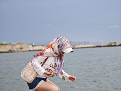 -翡翠岛