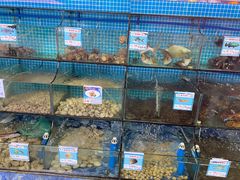 -范饭椰林川湘味海鲜·椰子鸡(三亚湾椰梦长廊店)
