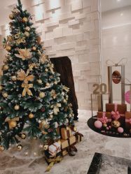 -丽妍雅集 Rubis SPA