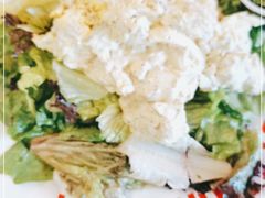 -Tubestation站点比萨(五道营店)