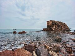 -小麦岛公园