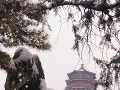 -颐和园