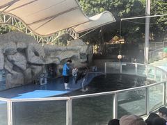 -泉州海丝野生动物世界