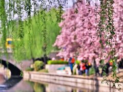 -海棠花溪(元大都城垣遗址公园)