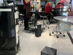 -宠物家(角门东店)