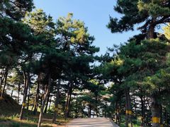-鬼笑石后山停车场