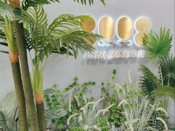-八佰伴8008星级形象店