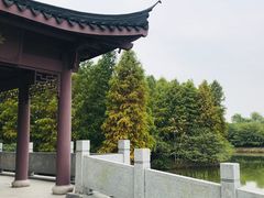 -梁鸿国家湿地公园