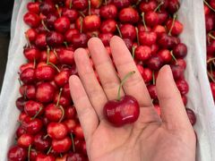 -西郊国际农产品交易中心