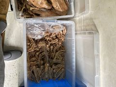 -正宗忘不了老鹅(梅岭店)