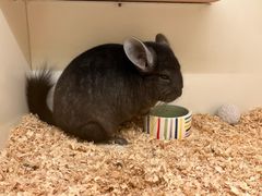 -龙猫仔乐园(惠福东路店)