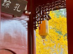 -安乐老桥代耳朵(成都崇州店)