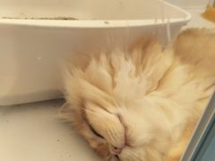 -昆山招商花园城
