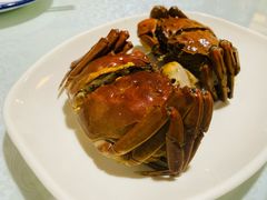 -呼吸森林·生态农庄农家乐私房菜